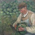 Садовник - Старый крестьянин с капустой